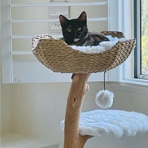 Meet your Posher, Maria nuria